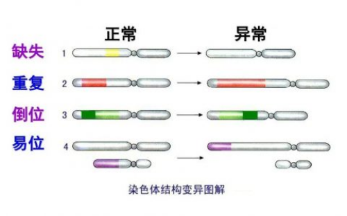 中信湘雅代孕_蓝色宝贝助孕产子,泰三代试管婴儿多少钱？费用是关键！