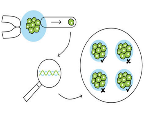 传承代孕中心_世纪代怀孕真心好,还有试管*洗涤这一说！？