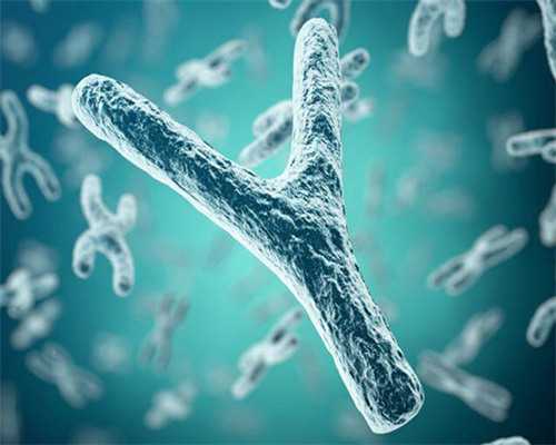 有代孕的医院吗,做试管必须做染色体吗 做试管婴儿一定要做染色体检查吗