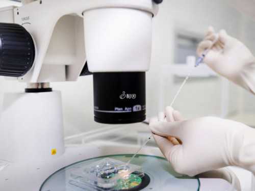 代孕成功包男孩,2026美国做试管婴儿选*费用多少附美国热门试管医院介绍