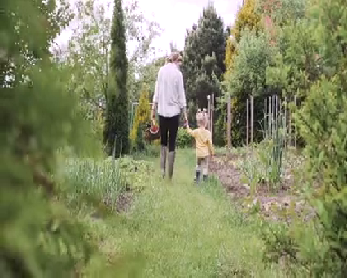 锦欣代孕机构(天伦不孕不育咨询), 1分钟读懂美国试管婴儿全部流程(分为三个主