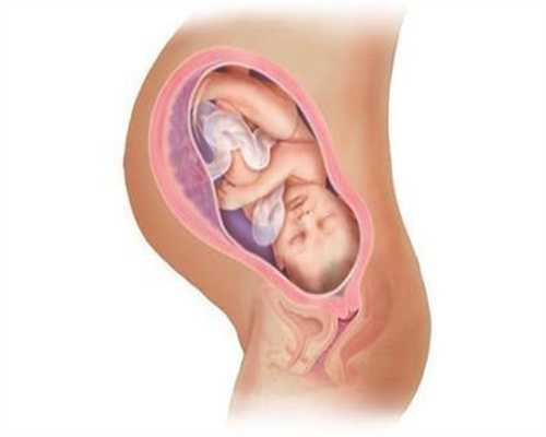 代孕早期可以久坐吗，代孕上