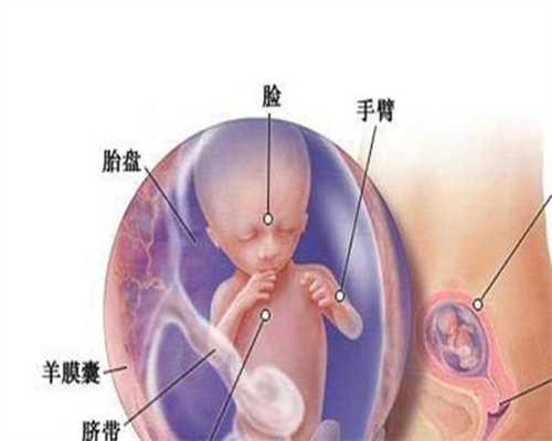 代孕初期吃头孢孩子能要吗，代孕吃了药会不会