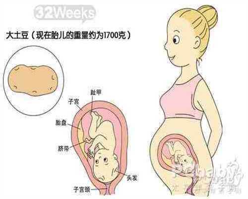 代孕前呕吐是几个月_助孕 聪宝试管生殖