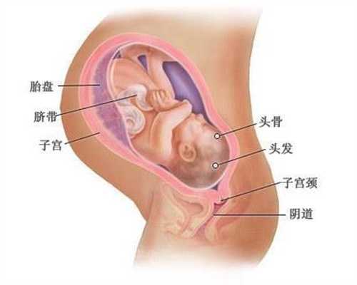 孕期需要防晒吗孕妈妈该如何防晒：上海喜临门