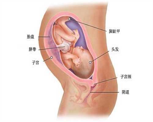 代孕五个月宫颈扩张怎么回事：武汉试管婴儿价