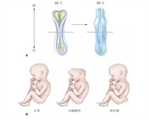 孕妇鼻头变大怀儿子孕期五官着三个变化你有吗