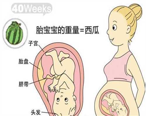 孕妇可以吃什么蔬菜：代孕成婚微盘