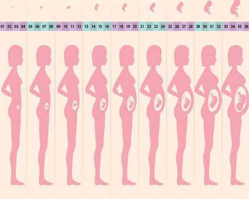 宫寒体质的多囊患者如何助孕调理