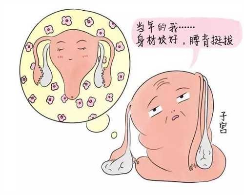香港借卵子借精能做试管婴儿