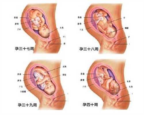 广州代孕价格_广州代孕不违法吗_广州有找过代孕妈妈的吗