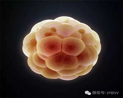 代孕案例_输卵管积水治疗_广州代孕与试管婴儿的区别