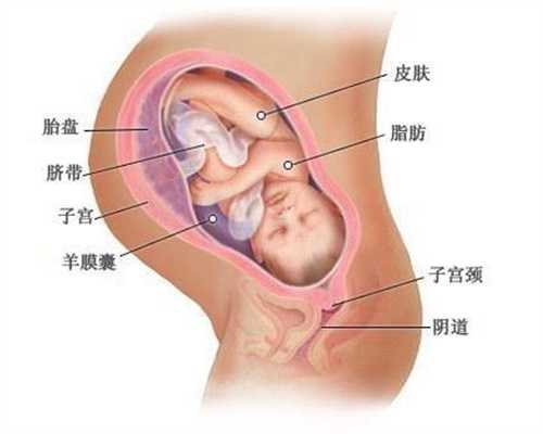 广州供卵对子宫的要求_广州供卵代孕试管