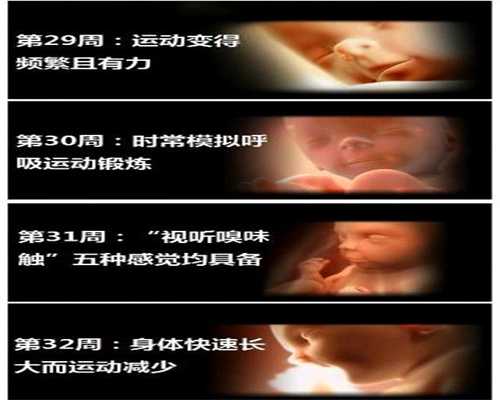 广州供卵试管母多少钱,广州供卵一次成功率,广州供卵试管手术花多少钱