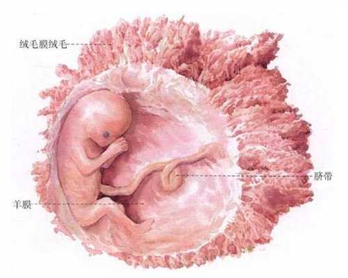 广州借卵子生子血型是谁的_广州2021供卵试管机构_【国家广州代孕基地，还您孕