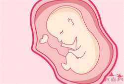 56岁供卵能成功吗，胎儿医学要做哪些检查