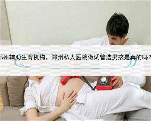 帮别人代孕生孩子多少钱，郑州辅助生育机构，郑州私人医院做试管选男孩是真